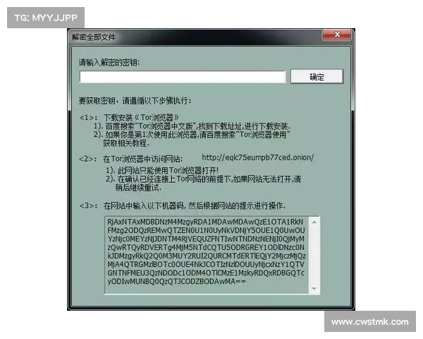总勒索软件支付禁令需要更多准备 媒体